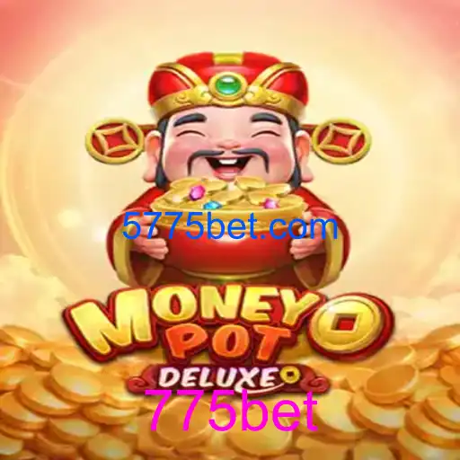 MoneyPotDELUXE